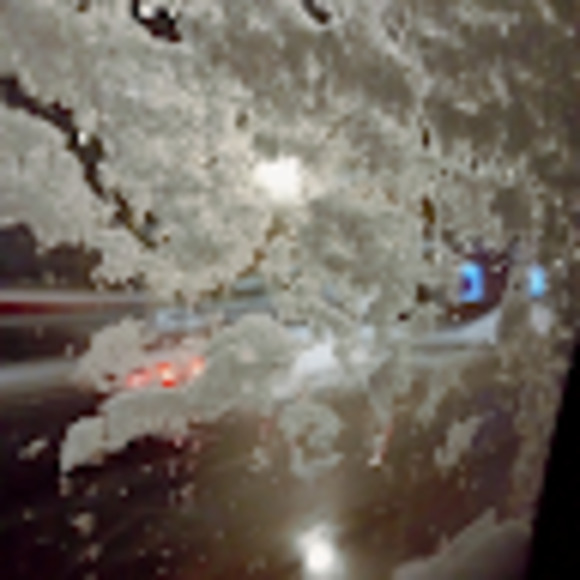 Meet your Posher, Yuki - Picture 1 of 1